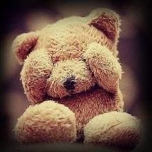 Meet your Posher, Ariel